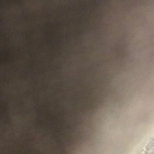 Meet your Posher, Iliana